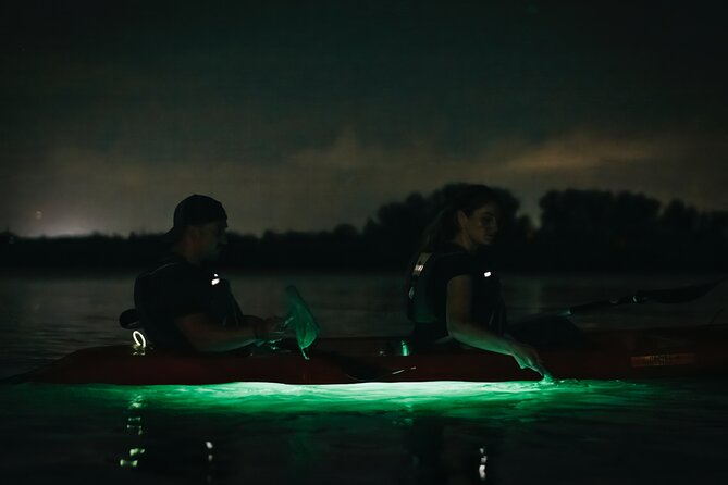 LED Bio Comb Jelly Clear Bottom Kayak or Paddleboard Tour! - The Real-World Tips That Make or Break the Night