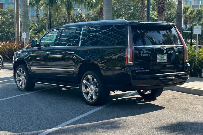 Luxury Transfers Orlando Airport to Disney Resort Area - Service Animals Are Welcome, So Don’t Leave Anyone Behind