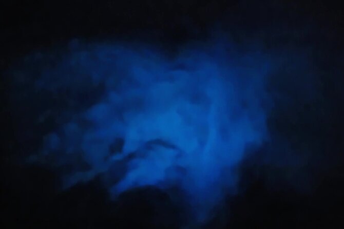 Magic After Dark Bioluminescence Kayak Tour Orlando - Orlando’s Magic After Dark Kayak Glow: What You’re Actually Seeing
