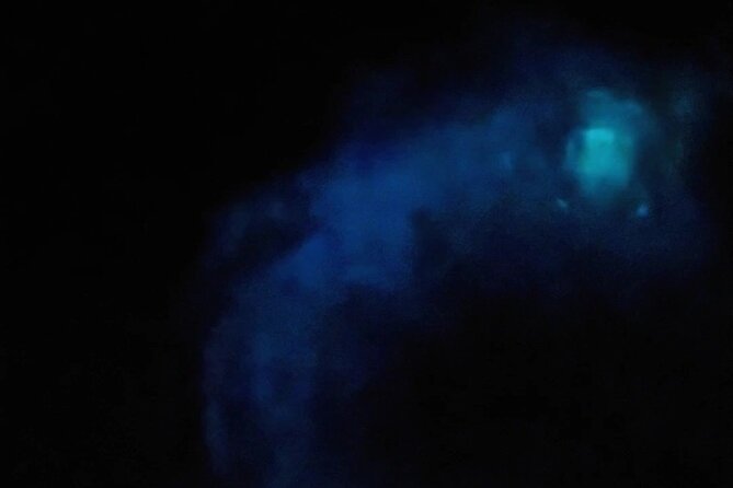 Magic After Dark Bioluminescence Kayak Tour Orlando - Wildlife Encounters: How to Look Without Spooking Anything