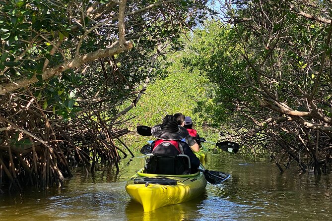 Manatee and Dolphin Kayak Tour - Key Things to Know Before You Go
