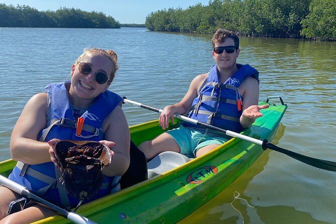 Manatee and Dolphin Kayak Tour - Manatees, Dolphins, and Birds: What Wildlife Watching Really Looks Like
