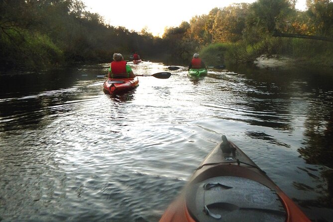 Manatee and Dolphin Kayaking Encounter - Haulover Canal launch: what your 2-hour start feels like