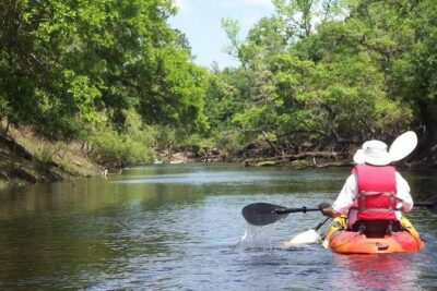 Manatee and Dolphin Kayaking Encounter - Merritt Island National Wildlife Refuge: manatee lounging is the main event