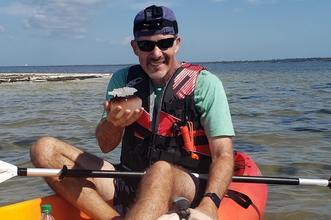 Manatee and Dolphin Kayaking | Wildlife Refuge (Titusville) - Dolphins: Feeding Frenzies, Surface Breaks, and Watching Without Wiggling
