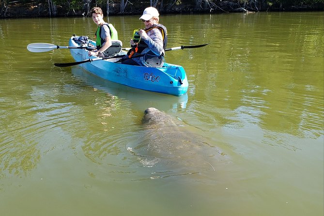 Manatee and Dolphin Kayaking | Wildlife Refuge (Titusville) - Meeting and Setup: Florida Adventurer at Haulover Canal Kayak Launch