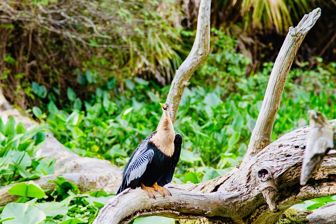 Manatees, Monkeys and Florida Natural Spring Adventure Tour - How long is it, and what should you actually expect?