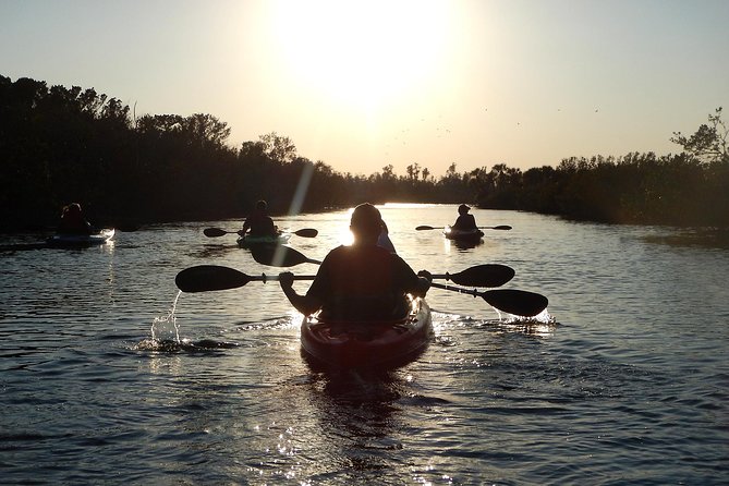 Manatees/Sunset/Bioluminescence Tour - Key Things I’d Bet on