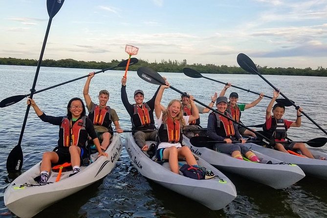 Mangrove Tunnels, Dolphins, Manatee Tour #1 Rated in Cocoa Beach - Beginner-Friendly Paddling: What the Guides Teach You