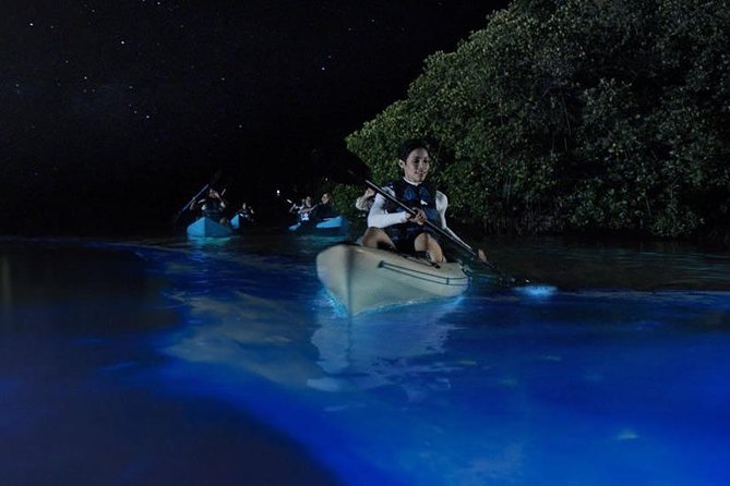 Mangrove Tunnels, Dolphins, Manatee Tour #1 Rated in Cocoa Beach - Price Value at $59: Is It a Good Deal for 2 Hours?