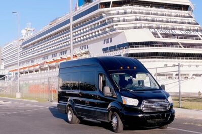 Orlando Airport MCO and Hotels Private Transfer to Port Canaveral - Finding your driver at MCO: follow the terminal spots and keep your phone ready