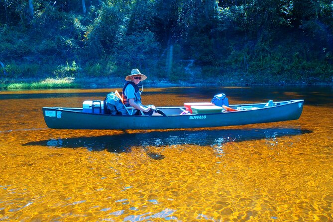 Orlando Alligator Experience - Kayaking the Econlockhatchee: A More Natural Orlando Day