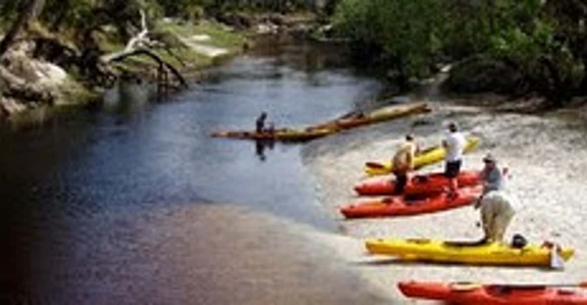 Orlando Alligator Experience: Day-Trip From Orlando - Key points to know before you go