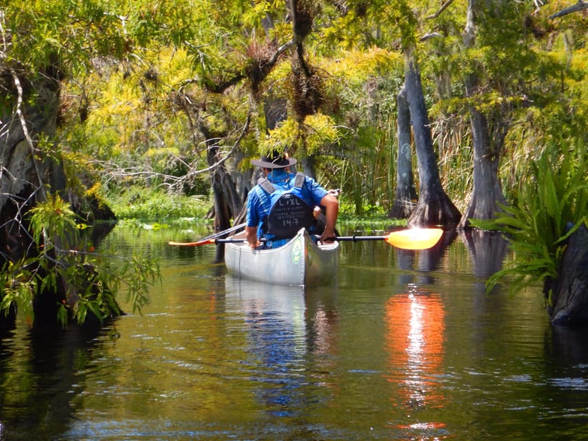 Orlando Alligator Experience: Day-Trip From Orlando - Why This Orlando Alligator Kayak Day Feels Different