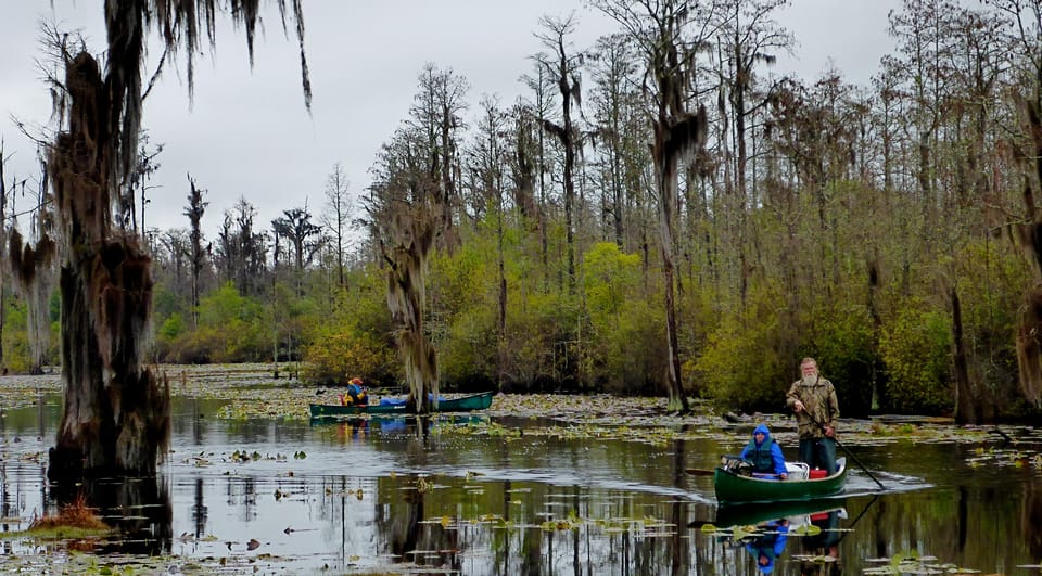 Orlando Alligator Experience: Day-Trip From Orlando - Guides and Group Size: Why Up to 10 Works