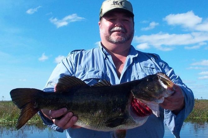 Orlando Bass Fishing Guide near iDrive - Wildlife + scenery without slowing your fishing time