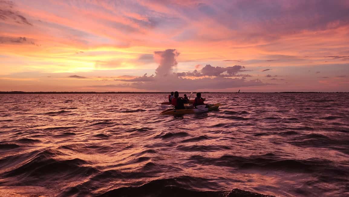 Orlando: Bioluminescence Kayak Adventure - Astrid-level guidance: science explanations you can use
