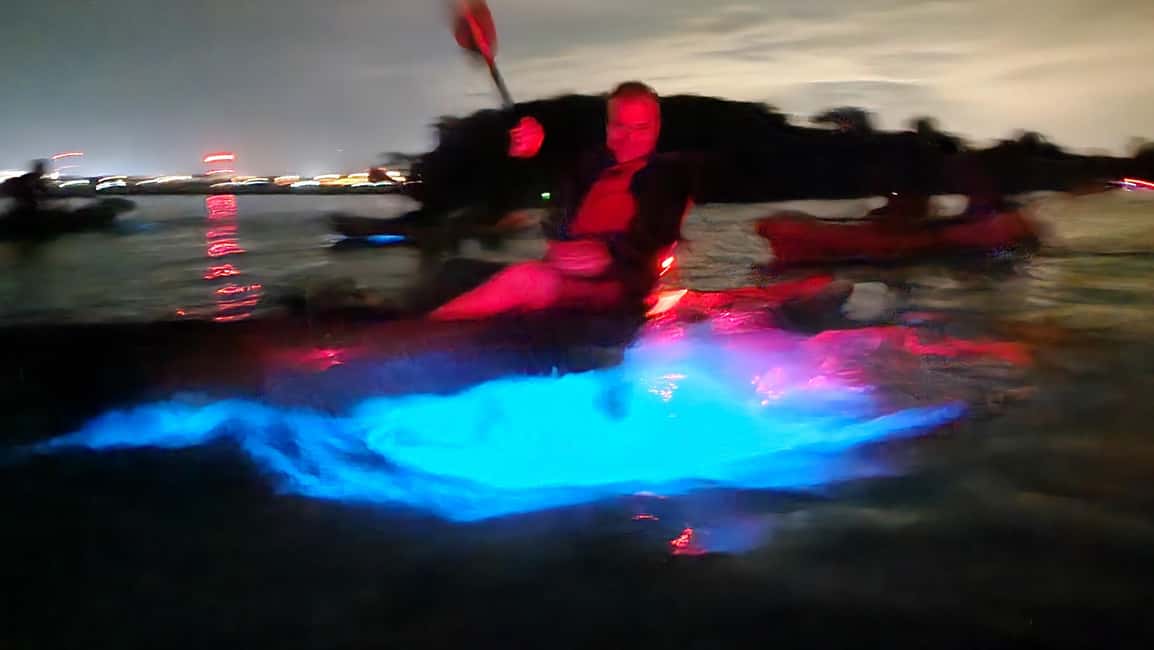 Orlando: Bioluminescence Kayak Adventure - Price and value: is $75 a fair deal?