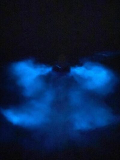 Orlando: Bioluminescence Kayak Tour - Getting on the water: check-in, gear, and first instructions