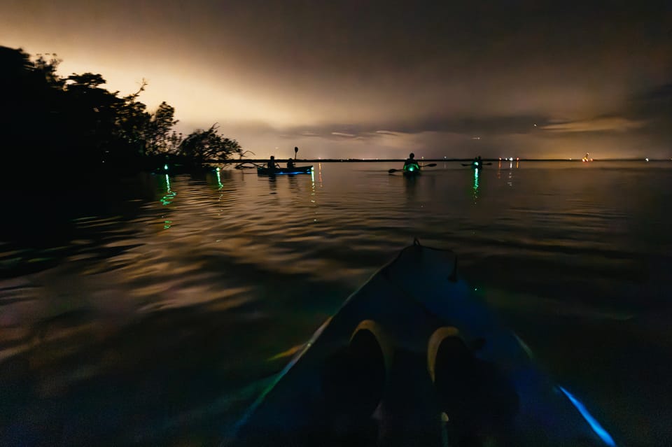 Orlando: Bioluminescence Kayak Tour - When manatees or dolphins show up (and when they don’t)