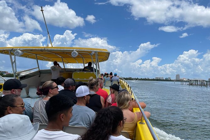 Orlando: Clearwater Beach, Dolphin Cruise Small Group Max 14 Tour - Price and what you actually get for $88