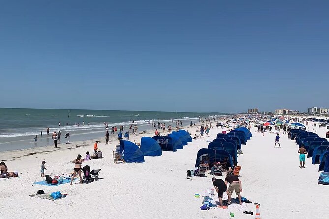 Orlando: Clearwater Beach, Dolphin Cruise Small Group Max 14 Tour - What to bring (so you don’t improvise on the day)