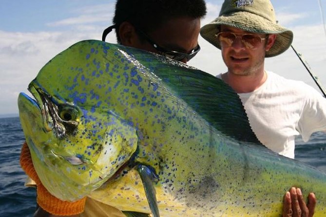 Orlando Deep Sea Fishing Charter - What you can catch: from sailfish and tuna to king mackerel and wahoo