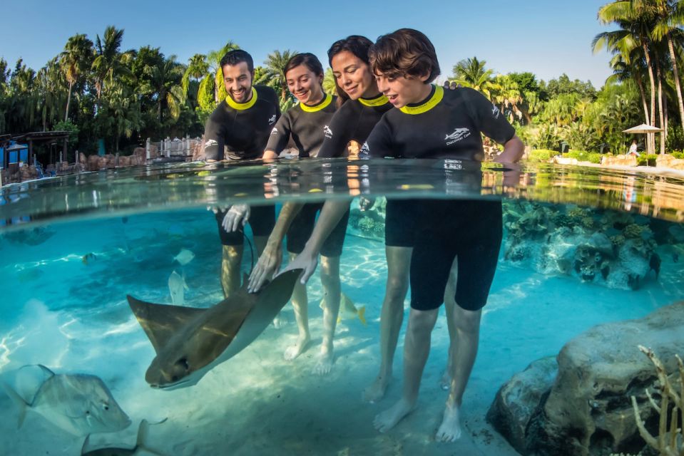 Orlando: Discovery Cove Admission Ticket & Additional Parks - Discovery Cove’s whole idea: calm water, animal time
