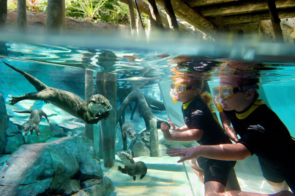 Orlando: Discovery Cove Admission Ticket & Additional Parks - All-inclusive food and drinks: what you actually get