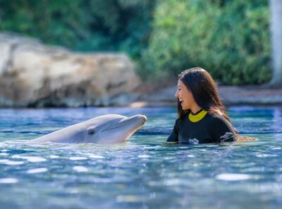 Orlando: Discovery Cove Admission Ticket & Additional Parks - Entering early through Discovery Cove Main Entrance (and why it matters)