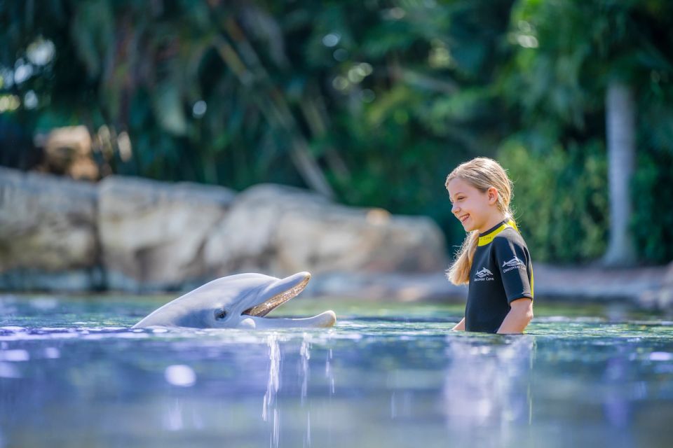 Orlando: Discovery Cove Admission Ticket & Additional Parks - Grand Reef snorkeling: the reason most people book