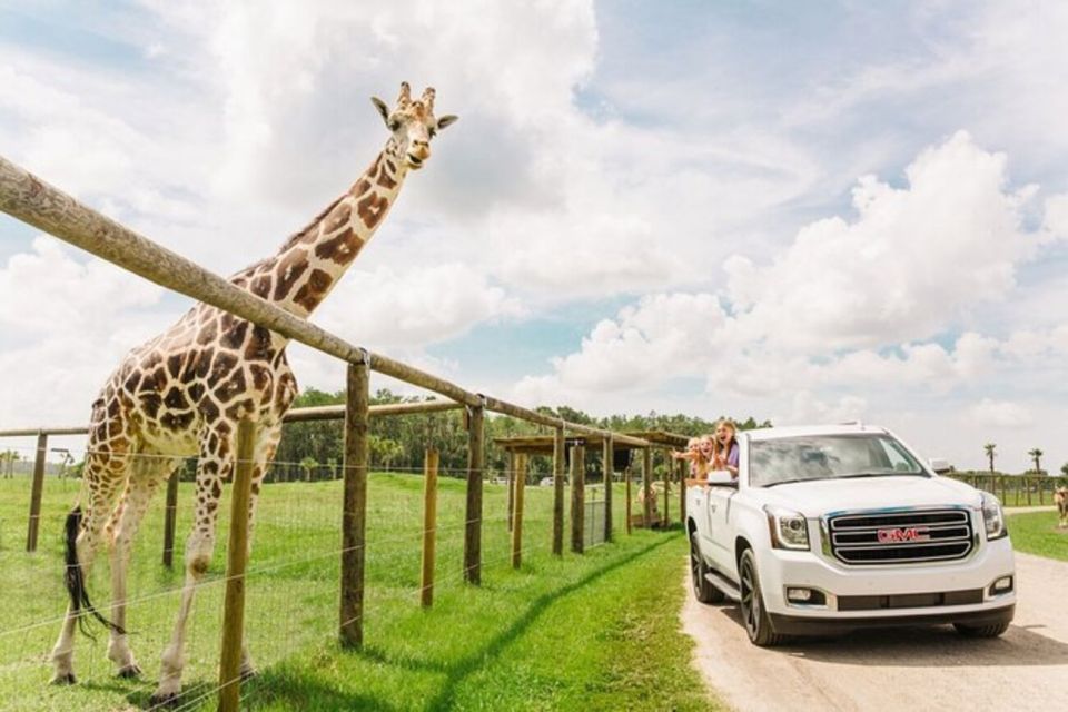 Orlando: Drive-Thru Safari Park at Wild Florida - Quick highlights you should care about