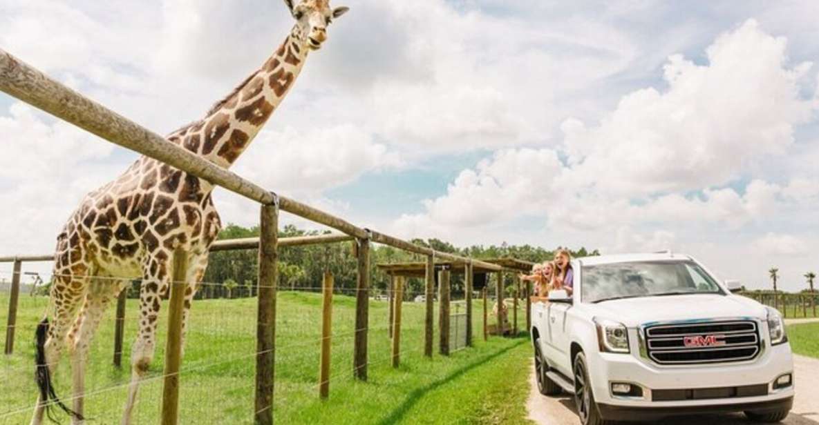 Orlando: Drive-Thru Safari Park at Wild Florida - The drive-thru loop: gravel paths, roaming animals, and real photo time