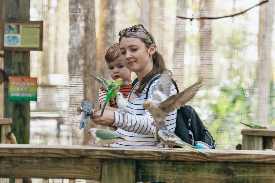 Orlando: Drive-Thru Safari Park at Wild Florida - Gator Park: where the day becomes a full animal outing