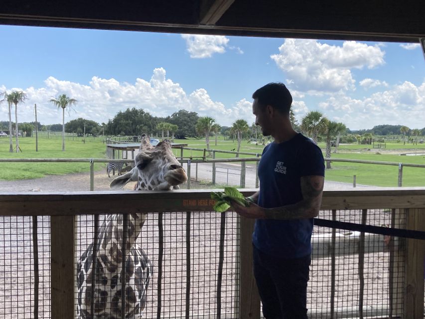 Orlando: Drive-Thru Safari Park at Wild Florida - Timing it right: how to avoid the heat and keep the day fun