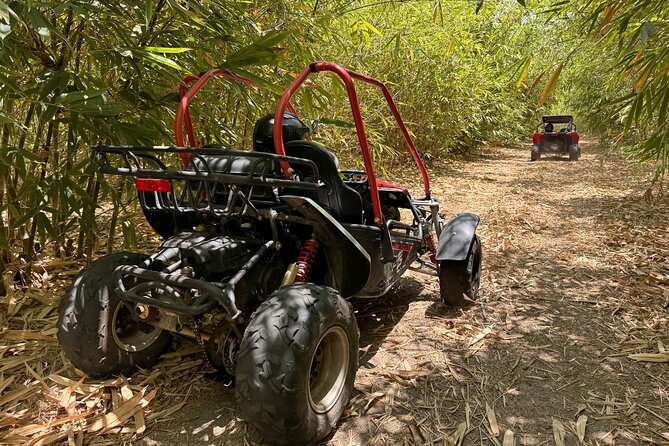 Orlando Dune Buggy Tour - Why This St Cloud Dune Buggy Day Feels Different Than Orlando Tourism
