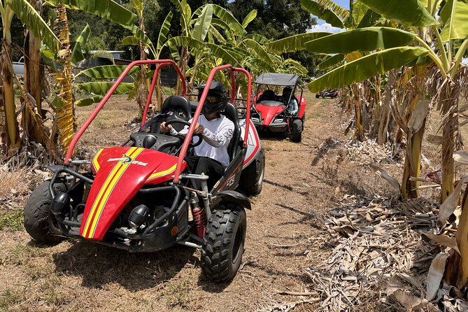 Orlando Dune Buggy Tour - Price and Value: Is $89.99 for 3 Hours a Fair Deal?