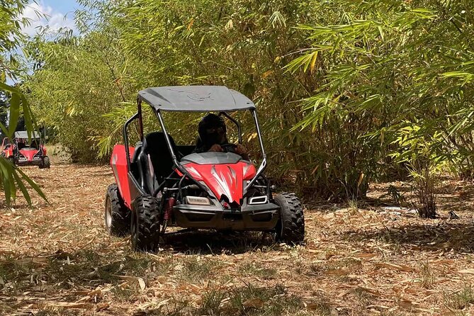 Orlando Dune Buggy Tour - The Timing That Matters: What the 3 Hours Really Includes
