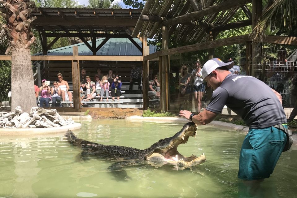 Orlando: Everglades Airboat Ride and Wildlife Park Ticket - Food, gift shop, bird aviary, and a 500-foot dock option