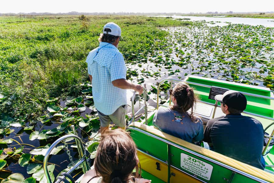 Orlando: Florida Everglades Wildlife Airboat Tour - Unobstructed swamp views from a stadium-seating airboat
