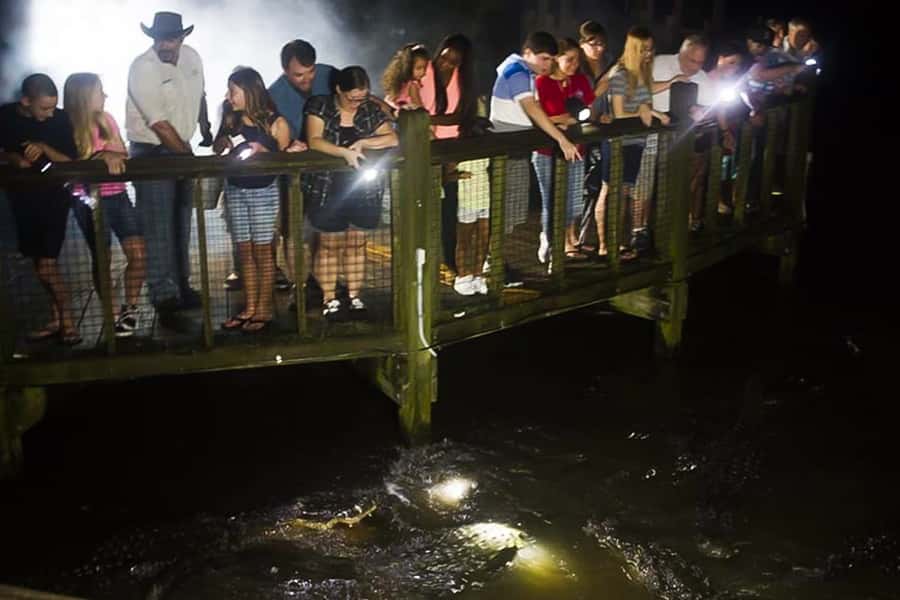 Orlando: Gatorland Flashlight Tour at Night - Walking the alligator breeding marsh at night (with eyes scanning the water)