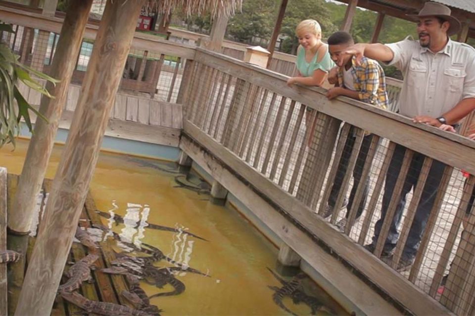 Orlando: Gatorland Interactive Tour with Animal Trainer - Behind the scenes with the trainer: feeding alligators and crocodiles