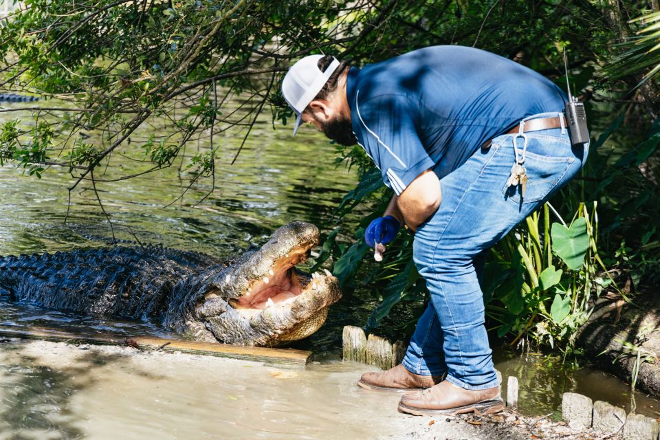 Orlando: Gatorland Skip-the-Line Ticket - Why Gatorland Feels Like a Real Florida Classic