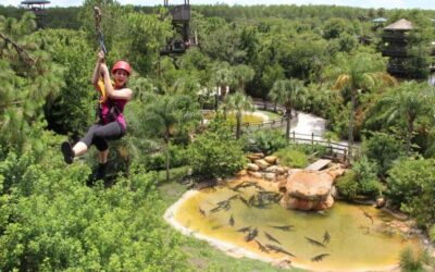 Orlando: Gatorland Zipline Adventure w/ Full-Day Park Access - Gear Up and Clip In at Gatorland
