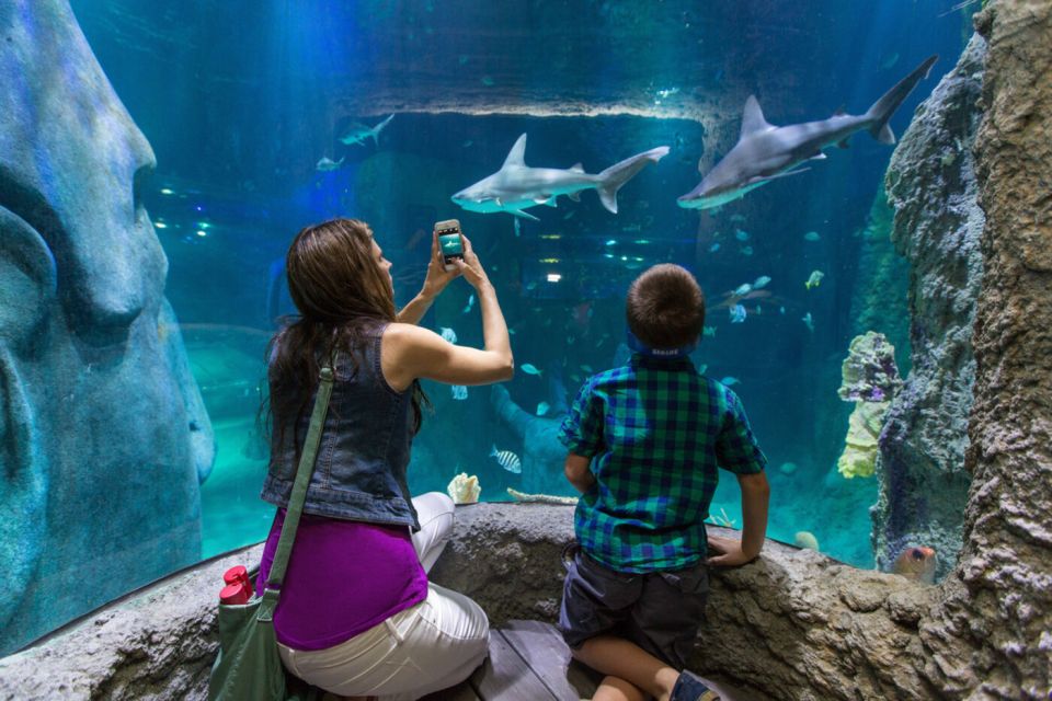 Orlando: Go City Explorer Pass - Choose 2 to 5 Attractions - Fun Spot America, Island H2O, and In the Game: Choose Your Pace
