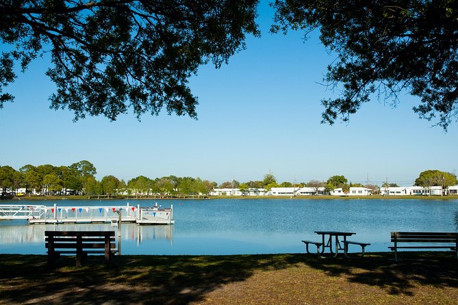 Orlando Highlights & Hidden Gems City Tour with Hotel Pickup - The minibus pacing: why heat, traffic, and group size matter