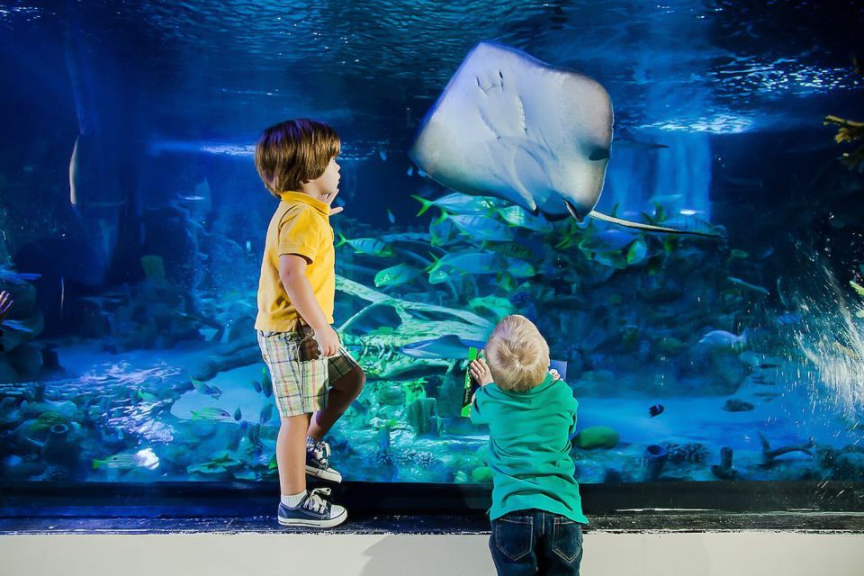 Orlando: Madame Tussauds and SEA LIFE Aquarium Combo Ticket - The coastal rock pool experience: why texture beats size