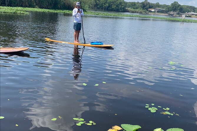 Orlando Manatee and Olde Florida History Adventure Tour - Key highlights you’ll care about
