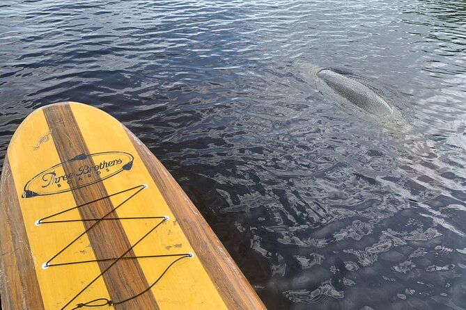 Orlando Manatee and Olde Florida History Adventure Tour - A practical 2-hour paddle plan that doesn’t drag