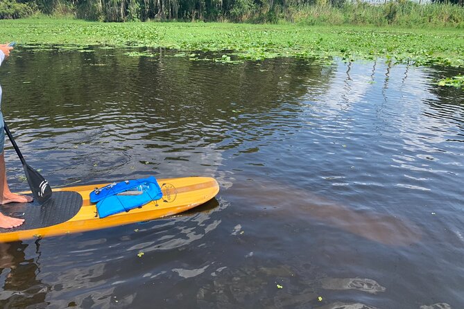 Orlando Manatee and Olde Florida History Adventure Tour - Bottom line: should you book this St. Johns River adventure?